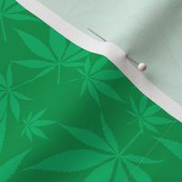 Cannabis leaves - green