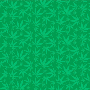 Cannabis leaves - green