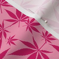 Cannabis leaves - pink