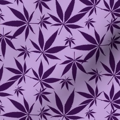 Cannabis leaves - purple & lavendar