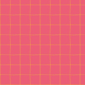 Mustard and Raspberry Grid