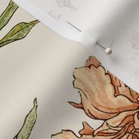 Vintage Peony in Peach - cream background