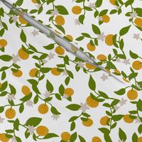 Clementine vines - lime, lemon, green