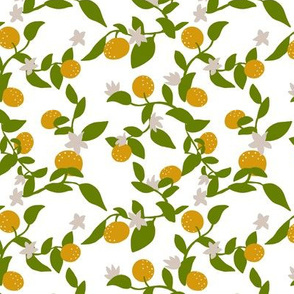 Clementine vines - lime, lemon, green