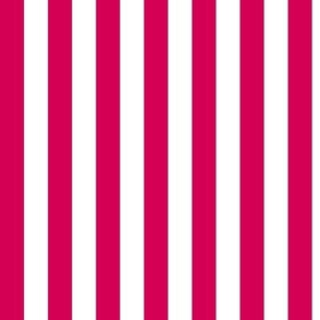 Vertical Awning Stripe Pattern - Ruby and White