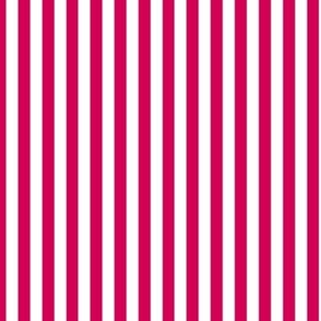 Vertical Bengal Stripe Pattern - Ruby and White