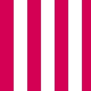 Large Vertical Awning Stripe Pattern - Ruby and White