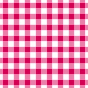 Gingham Pattern - Ruby and White