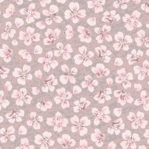 blossom - pink
