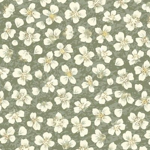 loquat blossom - green