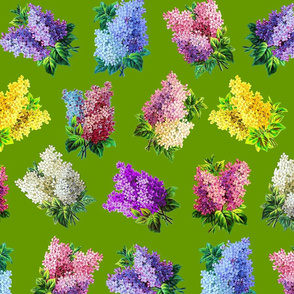 Lilacs on grass green ground