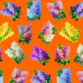 Lilacs on orange ground