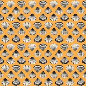 Cockleshells pattern on a  yellow background