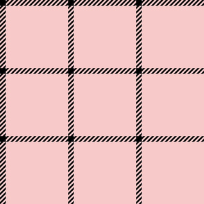 gingham black on pink spreadout