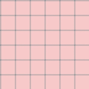 spread out gingham gray on pink small