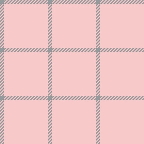 spread out gingham gray on pink