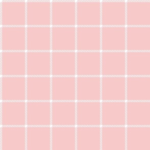 spread out gingham white on pink small