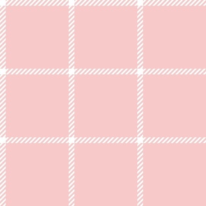spread out gingham white on pink