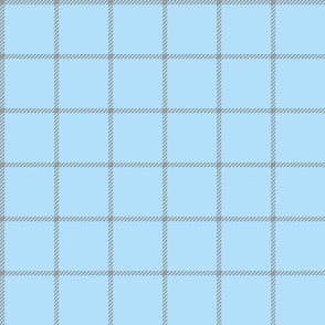 spread out gingham gray on blue small