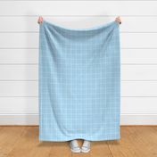 spread out gingham white on blue small