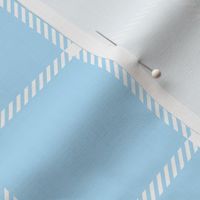 spread out gingham white on blue small