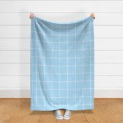 spread out gingham white on blue
