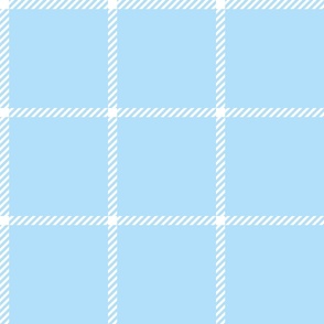 spread out gingham white on blue