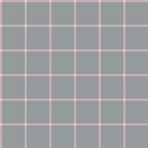 spread out gingham pink on gray small