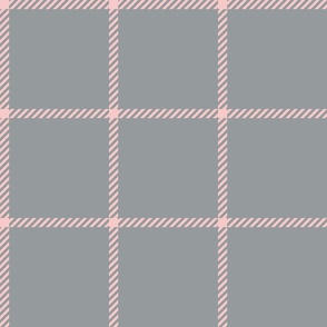 spread out gingham pink on gray