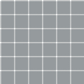 spread out gingham white on gray small