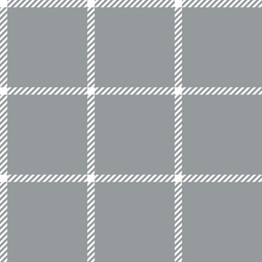 spread out gingham white on gray