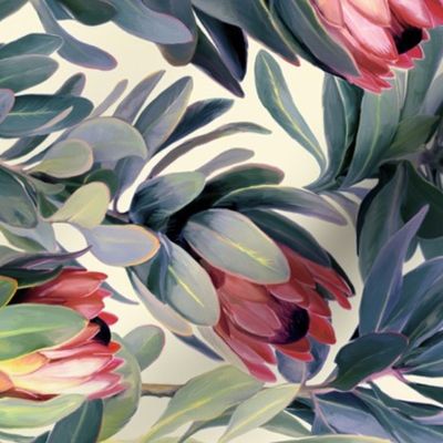 Rotated Painted Protea Floral - soft red version