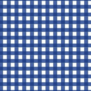 Blue and Silver Gingham 2 quarter inch squares