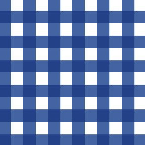 Blue and Silver Gingham 2 - 1/2" squares