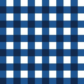 Light Blue and Navy Gingham 1 half inch squares navy