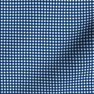 Light Blue and Navy Gingham  eighth inch squares navy