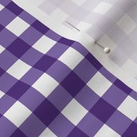 Orange and Purple Gingham half inch squares 2 purple