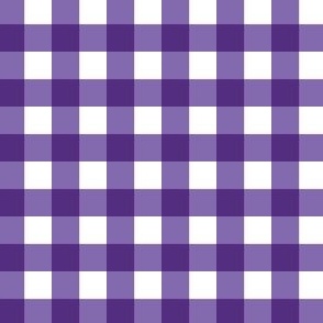 Orange and Purple Gingham half inch squares 2 purple