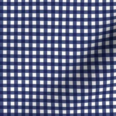 Red and Blue Gingham 1 quarter inch squares
