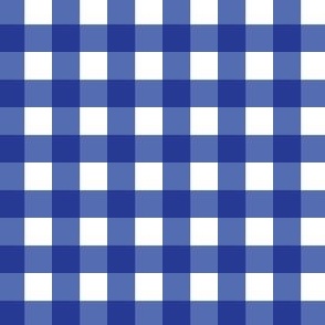 Royal Blue and Orange Gingham 1 half inch squares