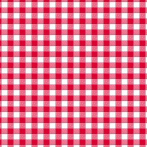 Classic Red Gingham Small
