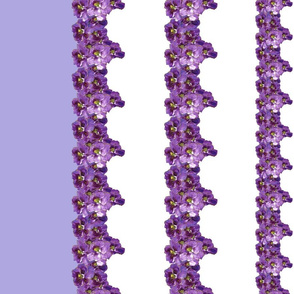 Vintage violets double border print 1