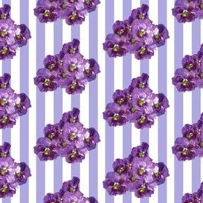 Vintage violets and lilac stripes (small)