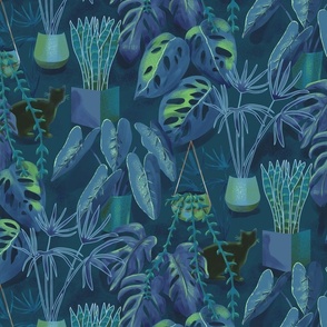 Houseplants at Night