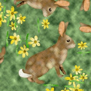 Bunny Rabbit with Daisies