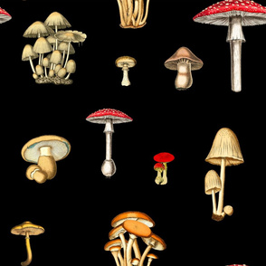 Forest,wild flowers,mushrooms pattern 