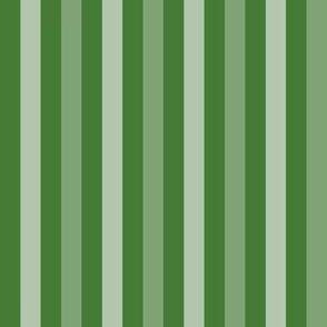 AWK6 - Tricolor Stripes in Rustic Green Medley