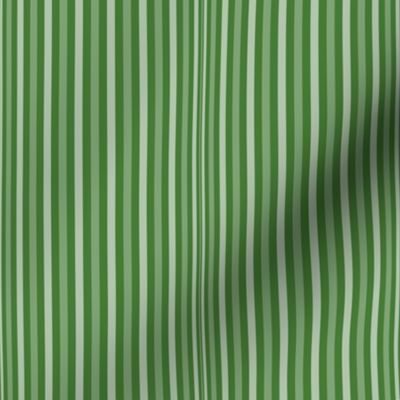 AWK6 -  Narrow Tricolor Stripes in Varied Widths - Rustic Green Medley