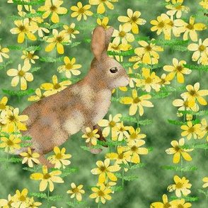 Bunny Rabbits in a field of Daisies