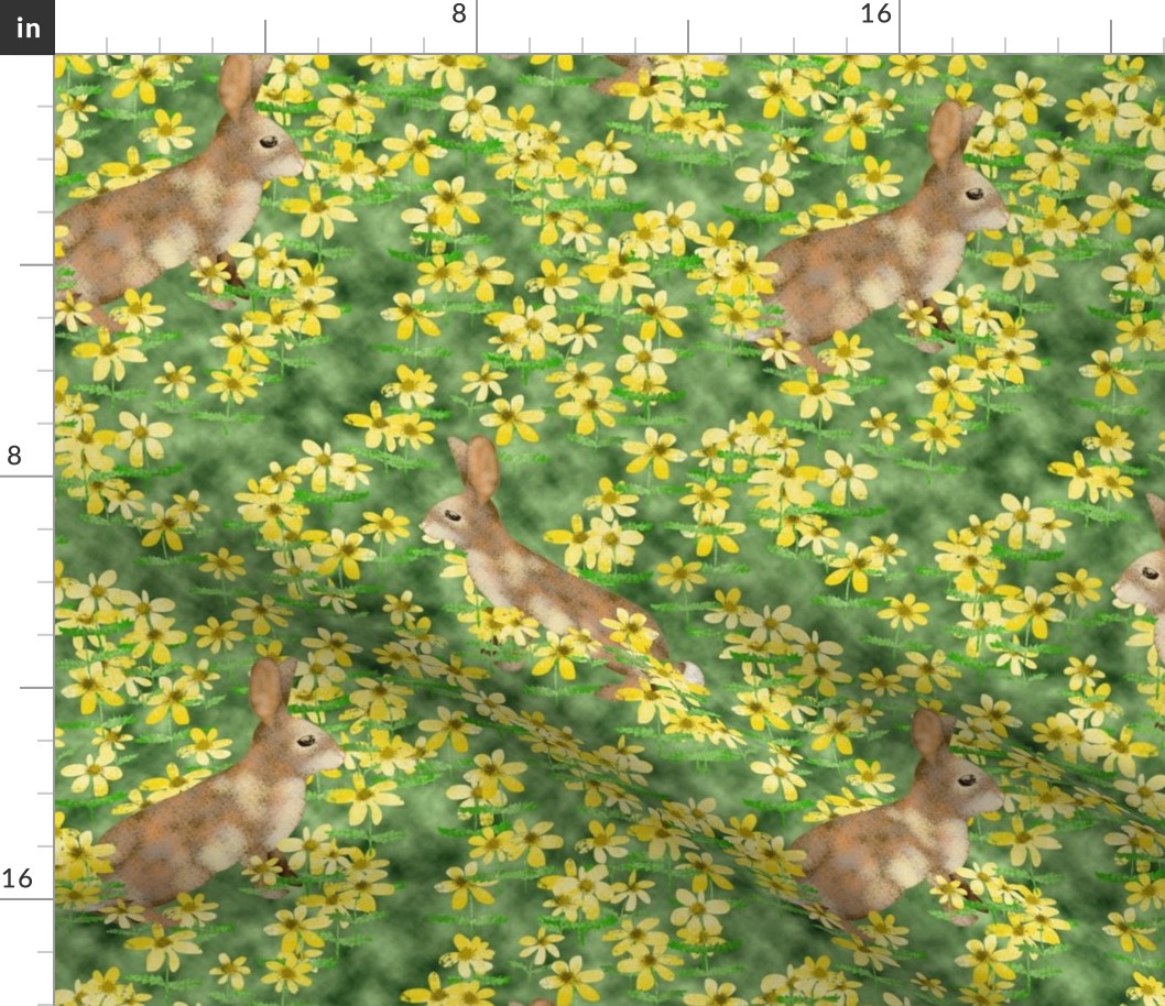 Bunny Rabbits in a field of Daisies